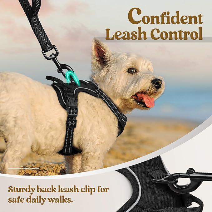 rabbitgoo Dog Harness No Pull with 2 Leash Clips, Adjustable Soft Padded, Reflective Oxford No Choke Pet Vest with Easy Control Handle for Puppy, Black, XS