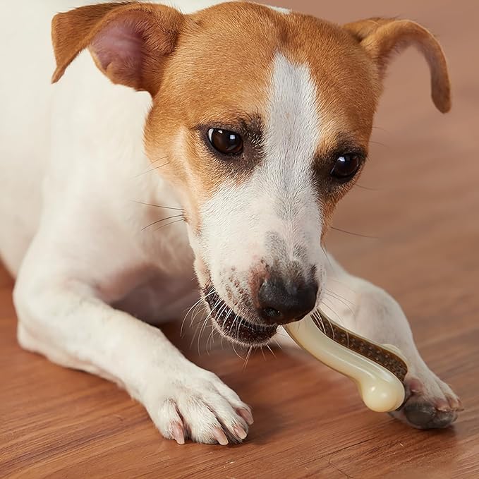 Dog Chew Toys for Aggressive Chewers, 2 Pack Beef Flavor Tough Dog Bones for Large/Medium Breed Dogs, Nylon Dog Toys for Teething and Training