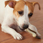 Dog Chew Toys for Aggressive Chewers, 2 Pack Beef Flavor Tough Dog Bones for Large/Medium Breed Dogs, Nylon Dog Toys for Teething and Training