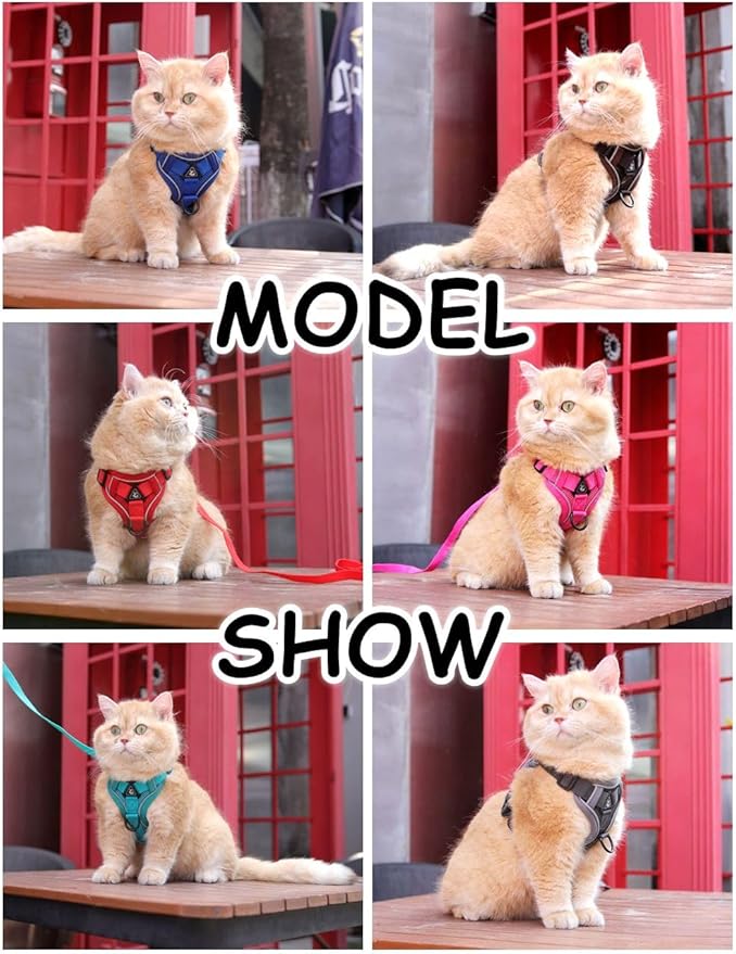 Cat Harness and Leash Set, Upgraded Escape Proof Adjustable Kitten Vest with Lead for Small Cat Outdoor Walking, Soft Breathable Mesh Jacket with Reflective Strips for Dark Night (S, Fresh Red)