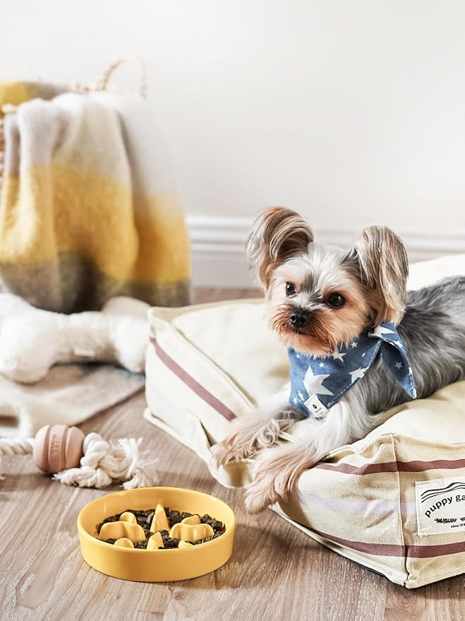 Ceramic Slow Feeder Dog Bowls Small Breed, 0.5 Cups Dog Food Dish for Fast Eaters, Puzzle Bowl for Small Dogs and Cats, 5.5 Inch-Turquoise