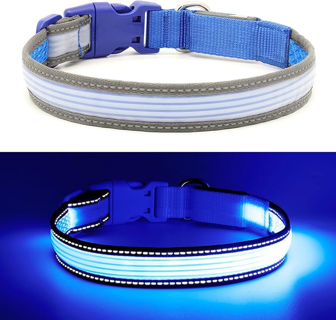 YFbrite Full Adjustbale LED Dog Collar, Full Illuminated Light up Dog Collars, Reflective Dog Collar Light Glowing in The Dark for All Dogs Safety (Medium, Blue-2)