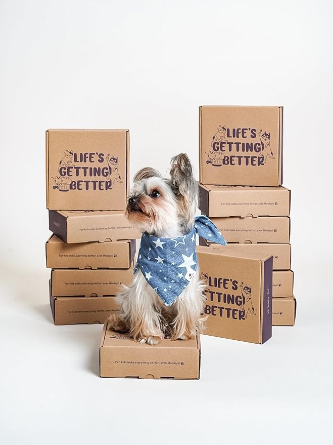 Ceramic Slow Feeder Dog Bowls Small Breed, 0.5 Cups Dog Food Dish for Fast Eaters, Puzzle Bowl for Small Dogs and Cats, 5.5 Inch-Pink