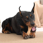 Willjoy 2-Pack Dog Chew Toys for Aggressive Chewers, Pine Wood & Tough Nylon, Bone Shaped Indestructible Dog Toy, Natural Looking Grooves & Textured, Bacon Flavor Large Dog Toys to Keep Them Busy