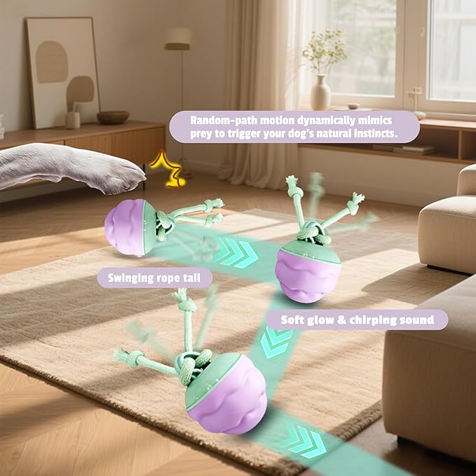 Interactive Dog Toys [2025 Upgrade] – Smart Dog Ball, Automatic Motion-Activated Rolling, Random Path, Squeaky Sounds, USB-C Rechargeable LED Light, Indoor/Outdoor Use