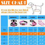 No Pull Dog Harness, Collar & Leash Set | Includes Dog Seat Belt, Collapsible Bowls & Poop Bag Dispenser. Ideal for Training, Walking, Hiking. Fits Small to Large Dogs(Pink-S)