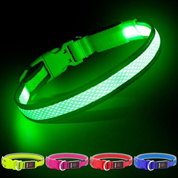 YFbrite Light up Dog Collar, USB Rechargeable LED Puppy Collar Super Bright Adjustable Glowing Dog Lights for Night Walking (Green, Large)