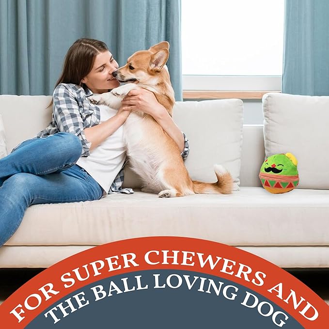 Flourish Pets 2 in 1 Multi-Layer Chew Toy for Active Dogs | Non-Toxic BPA Free Double Stitched Soft Fabric Exterior Dog Toys | Long-Lasting Dog Plush Toys – Mr. Guac 3.5"