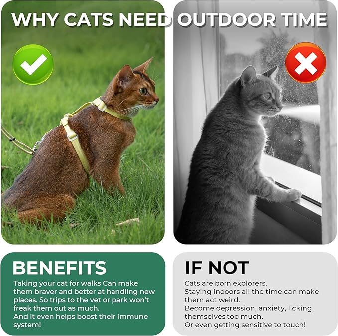 Cat Harness and Leash Set - Green Lightweight Soft Kitten Harness Escape Proof, Adjustable Travel Pet Harness for Walking，Easy Control Comfortable Outdoor (Green, One Size Fits All)