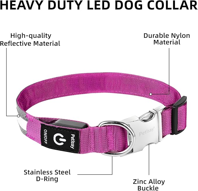 PetIsay LED Dog Collar Metal Buckle - Heavy Duty Light up Collars - Rechargeable IP68 Waterproof - Lighted Dog Collar for Night Walking, Hiking, Camping (Large, Purple)