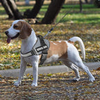 JSXD Dog Harness,No-Pull Service Dog Harness with Handle Adjustable Outdoor Pet Dog Vest 7M Reflective Nylon Material Vest for Breeds,Easy Control for Small Medium Large Dogs