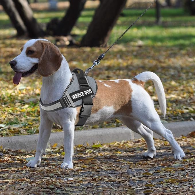 JSXD Dog Harness,No-Pull Service Dog Harness with Handle Adjustable Outdoor Pet Dog Vest 8M Reflective Nylon Material Vest for Breeds,Easy Control for Small Medium Large Dogs