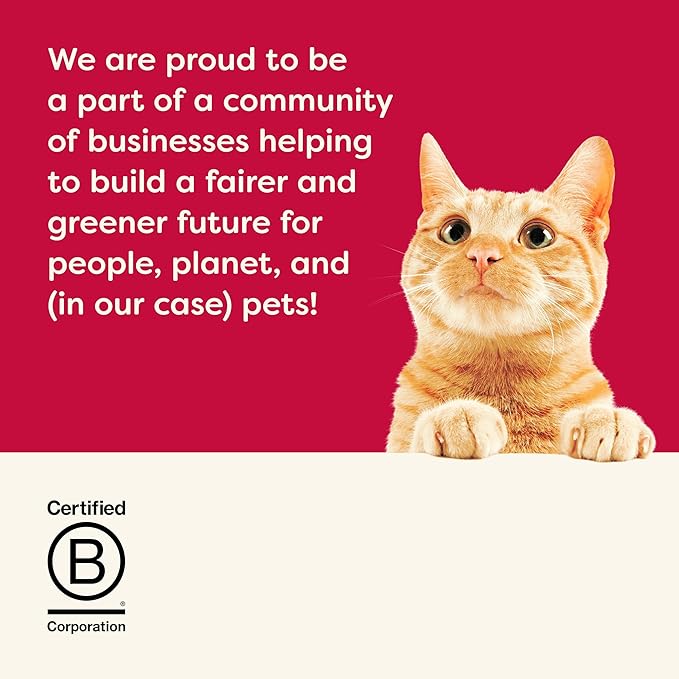 Applaws Holiday Natural Cat Treats, Grain-Free, Single Ingredient, Whole Protein Fillet, Healthy Snacks with No Artificial Additives or Fillers (12 x 1.06 oz Whole Chicken, Tuna & Salmon Loins)