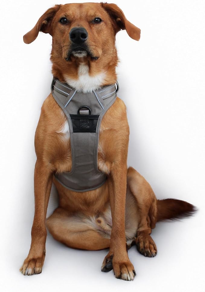 Doggie Design Venture Paw No Pull Dog Harness - Simple Adjustable Puppy Harness - Anti Pull Dog Collar for Walks and Outdoor Adventures - Dried Sage, L