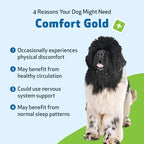 Pet Wellbeing Comfort Gold for Dogs - Supports Canine Physical Comfort, Healthy Circulation, Corydalis, Turmeric - Veterinarian-Formulated Herbal Supplement 4 oz (118 ml)