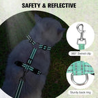 BEAUTYZOO Cat Harness and Leash Set Escape Proof, Medium Cat Vest Harness for Walking, Adjustable Step in Kitten Harnesses for Travel, Soft Lightweight Outdoor Cute Kitten Harnesses, Pineapple M