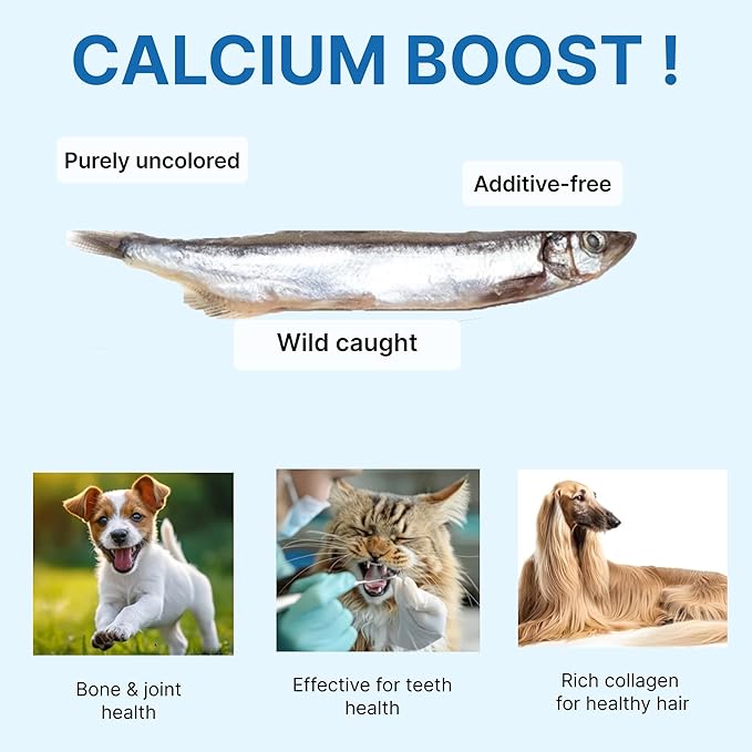 Puppyluv Treat - Freeze Dried Capelin Dog & Cat Treats, Rich Fish Oil with Omega 3 Fatty Acides to Support Skin and Coat, Whole Fish, Grain Free, 2.3oz