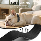 Reflective Dog Collar, Soft Neoprene Padded Nylon Pet Collar with Quick-Release Buckle, No-Choke Design Adjustable for Small Dogs,Black,S