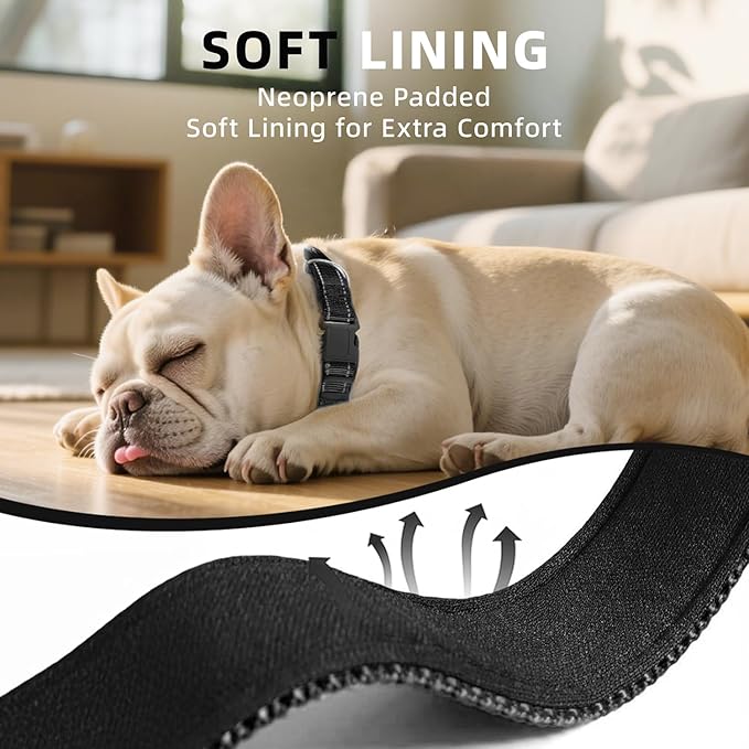 Reflective Dog Collar, Soft Neoprene Padded Nylon Pet Collar with Quick-Release Buckle, No-Choke Design Adjustable for Small Dogs,Black,S