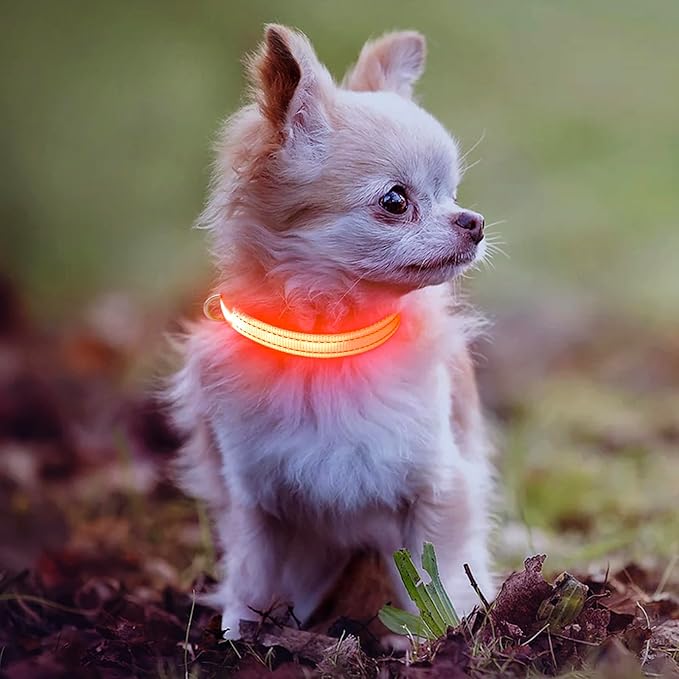 Light Up Dog Collar - Rechargeable LED Dog Collar, Adjustable Reflective Puppy Collar, Glowing Safety Dog Lights for Small Breeds Dogs Cats (Orange)