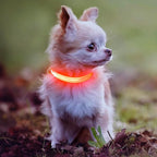 Light Up Dog Collar - Rechargeable LED Dog Collar, Adjustable Reflective Puppy Collar, Glowing Safety Dog Lights for Small Breeds Dogs Cats (Orange)