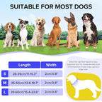 Light Up Dog Collar, Adjustable USB Rechargeable Glow in Dark Dog Collar ，Waterproof Dog Collars for Small Dogs (Blue, Small)