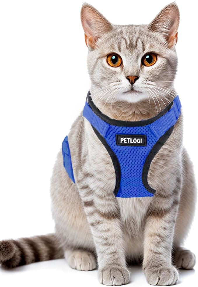 Cat Harness Escape Proof with Leash for Walking, Travel Vest Soft Chest Support, Adjustable Size, Escape Proof Soft Adjustable Vest Harnesses, Breathable, Kittens, Small Dogs (美/背縄/藍2/XS)