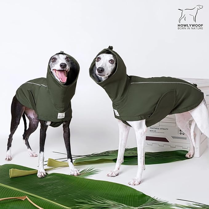 Waterproof Dog Raincoat, Hooded Raincoat for Dachshund Whippet Small Medium Large Dogs, Adjustable Dog Rain Coat Jacket (01(Dachshund 5-10lbs))
