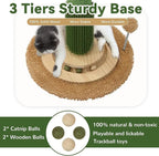 OTOB 36" Tall Cat Cactus Scratching Post, Natural Sisal Rope Cat Scratcher Post, Vertical 6-in-1 Interactive Turntable Cat Scratch Post with Soft Ball Toys, Protect Your Furniture (Green/Brown)