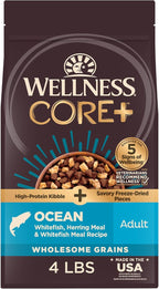 Wellness CORE+ (Formerly RawRev) Grained Dry Dog Food, Ocean Recipe with Freeze Dried Whitefish, 4 Pound Bag