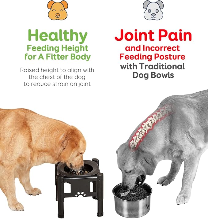 Pawque Elevated Slow Feeder Bowls - Adjustable Raised Dog & Cat Bowl with 3 Heights (6.1", 7.7", 9.3") for Medium & Small Pets, Mess Proof & Non-Slip Dish Feeder