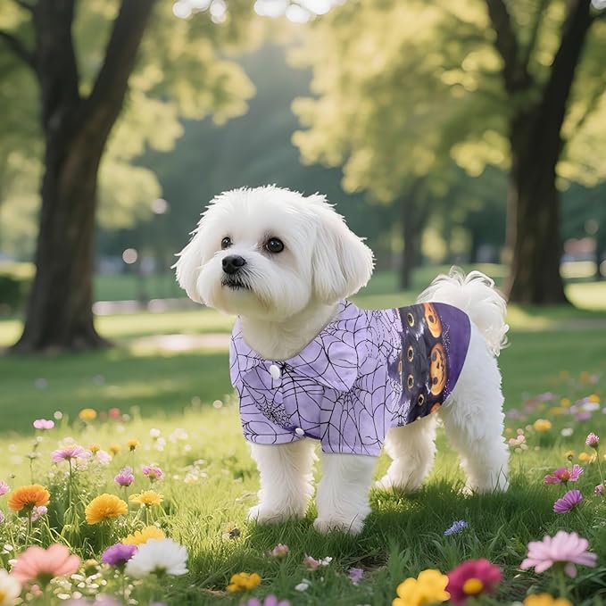 Black Cat Dog Halloween Shirt for Large Dogs Puppy Polo T-Shirt with Collar Cute Holiday Costume for Chihuahua, Yorkie & Teacup Breeds Breathable Dog Apparel for Cat Boys Girls