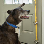 Caldwell's Pet Supply Co. Dog Potty Bells, Dog Bells to Go Outside, Hanging Dog Door Bell for Potty Training, Quality Bell for Dogs to Ring to Go Potty, Potty Bells for Dogs, New Puppy Training Tool