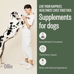Ollie Belly Rubs, Probiotic Dog Chews, Digestive Health, Natural Ingredients, for Upset Stomach Relief, Appx. 60 Count