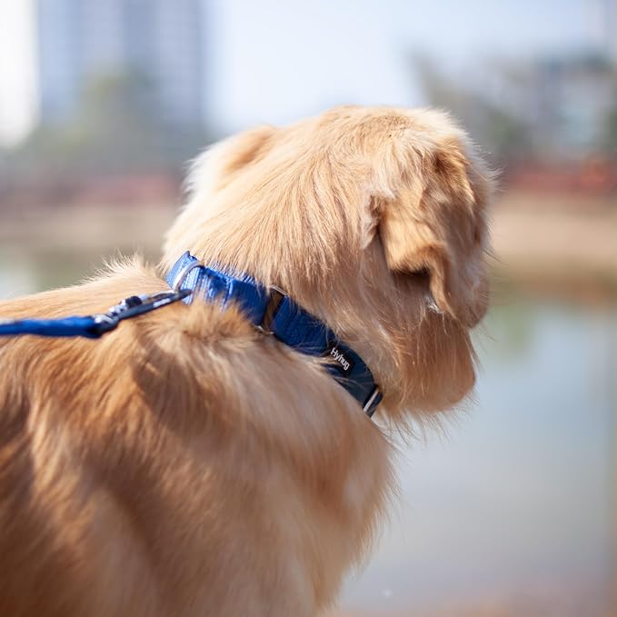 Hyhug Martingale Collar for Dogs Large Blue |Escape - Proof Heavy Duty Nylon Durable No Pull, Ideal for Training & Daily Walks