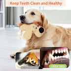 3 Pcs Dog Squeaky Toys, Squeaky Stuffed Toy for Dog, Puppy Chew Toys to Keep Them Busy Interactive Puppy Toys with Squeakers Stuffed Animal Pet Plush Toy (Green)