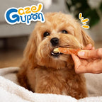 Gazeupon Rawhide Free Dog Treats, Chicken Wrapped Cod Sticks, Healthy Training Treats, Soft Chewy Snacks for Small Dogs w/Glucosamine Chondroitin, Low Fat