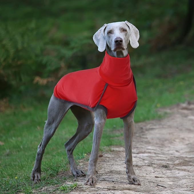 ROZKITCH Dog Winter Coat Soft Pullover Pajamas, Pet Windproof Warm Cold Weather Jacket Vest Cozy Onesie Jumpsuit Apparel Outfit Clothes for Small Medium Large Dogs Walking Sleep BrightRed L