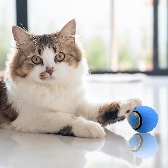 2PCS Interactive Cat Toy for Indoor Cats, Automatic Moving Cat Toy Ball, USB Rechargeable Smart Cat Toys Ball with Replacement Tail, 2 Speed Adjustment