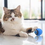2PCS Interactive Cat Toy for Indoor Cats, Automatic Moving Cat Toy Ball, USB Rechargeable Smart Cat Toys Ball with Replacement Tail, 2 Speed Adjustment