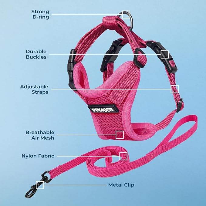 Voyager Escape-Proof Step-in Lock Cat Harness & 5ft Neoprene-Handle Leash Set All-Weather Mesh with Reflective Stitching for Small to Large Cats by Best Pet Supplies, Fuchsia, XXXS