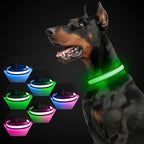 Multi-Color Light up Dog Collar, YFbrite USB Rechargeable LED Puppy Collar Super Bright Adjustable Glowing Dog Lights for Night Walking (Multi-Color, Medium)