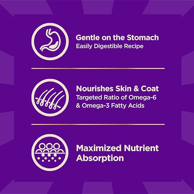 Wellness CORE+ Sensitive Skin & Stomach Dry Dog Food with Freeze Dried Pieces, Wholesome Grains, High Protein, Natural, Salmon & Rice Recipe, (18-Pound Bag)