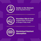 Wellness CORE+ Sensitive Skin & Stomach Dry Dog Food with Freeze Dried Pieces, Wholesome Grains, High Protein, Natural, Salmon & Rice Recipe, (4-Pound Bag)