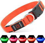 Illumifun USB Rechargeable LED Dog Collar, Light Up Dog Collar for Small Dogs, Reflective Adjustable Safety Dog Collar Lights for Night Walking (OrangeⅢ, Small)