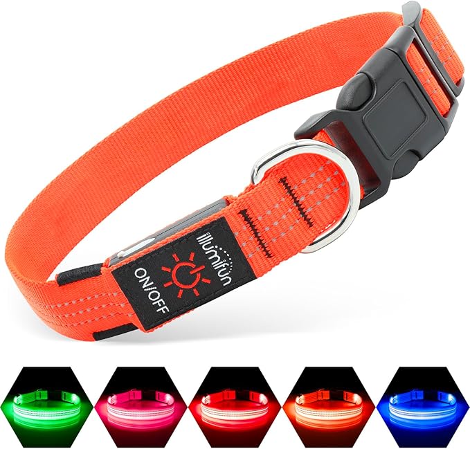 Illumifun USB Rechargeable LED Dog Collar, Light Up Dog Collar for Small Dogs, Reflective Adjustable Safety Dog Collar Lights for Night Walking (OrangeⅢ, Small)