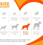 Nylabone Cheese Bone Power Chew Toy for Dogs, Cute Dog Toys for Aggressive Chewers, Cheese Flavor, X-Large Dogs - 50+ lbs, 1 Count