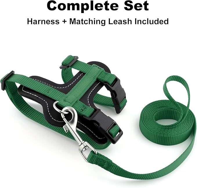 Plutus Pet Adjustable Cat Harness and Leash Set, Quick Release, Escape Proof Nylon Vest with Leather Trim for Kitten, Small Medium Large Cats, Green