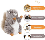 DODODOLA Dog Toys Plush Squirrel Stuffed Animals Chew Toy Soft Squeaky Gift for Small Medium Big Large Dogs Pet
