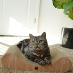 Necoichi Cardboard Cat Scratcher Bed for Indoor Cats - Cat Scratching Board, Horizontal Cat Scratch Pad Lounger with Reversible Usability and Extra Comfort for Lounge, Curved (18" Regular, Oak)